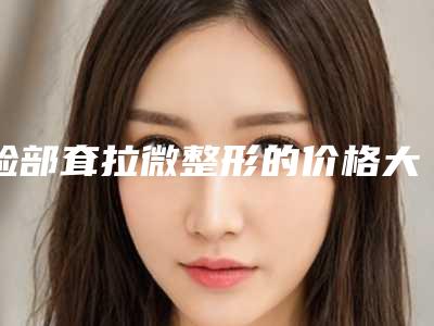 睑部耷拉微整形的价格大约多少钱