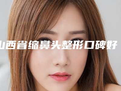 山西省缩鼻头整形口碑好吗价格表-近8个月均价为25545元