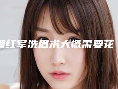魏红军洗眉术大概需要花费多少